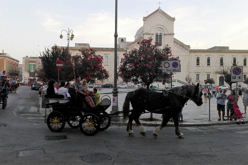 Sfilata di carrozze, cavalli e traini 2016. <span>Foto Giuseppe Dalbis</span>