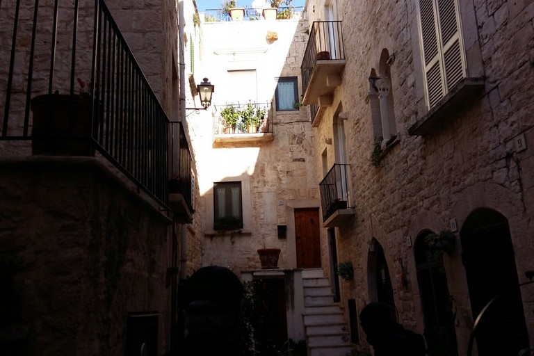 Vico Freddo