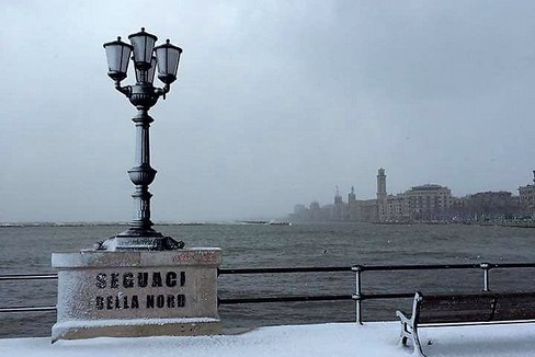 La foto di Marco Caravella. <span>Foto Marco Caravella</span>