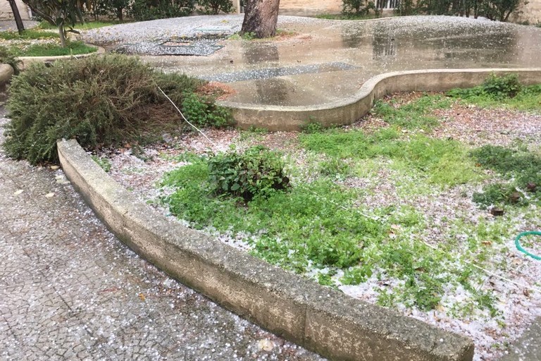 Grandine a Giovinazzo. <span>Foto Marzia Morva</span>