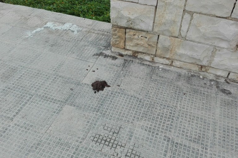 Ricordino per strada