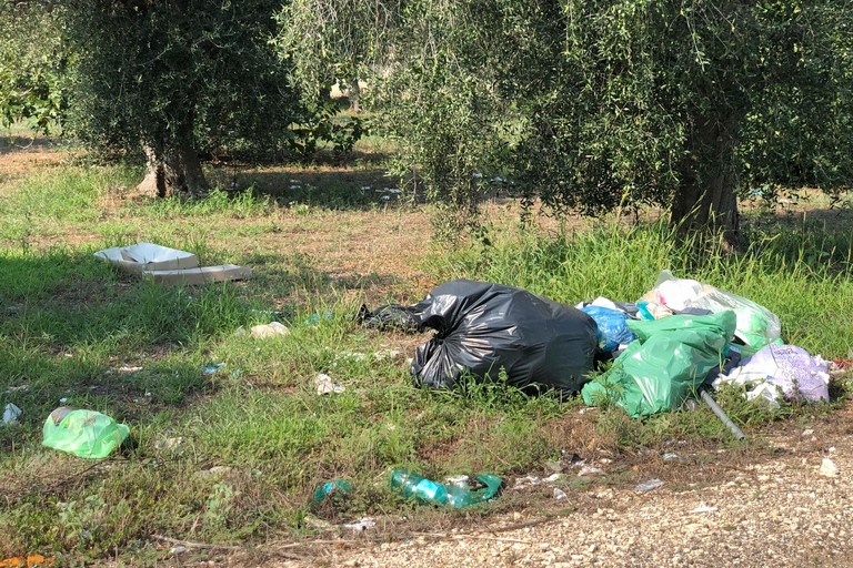 Rifiuti sul ciglio delle strade. <span>Foto PD Giovinazzo</span>