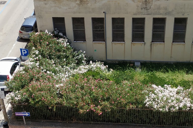 L'ex scuola Giuseppina Pansini