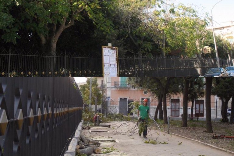 Il taglio del verde in Villa nel 2010