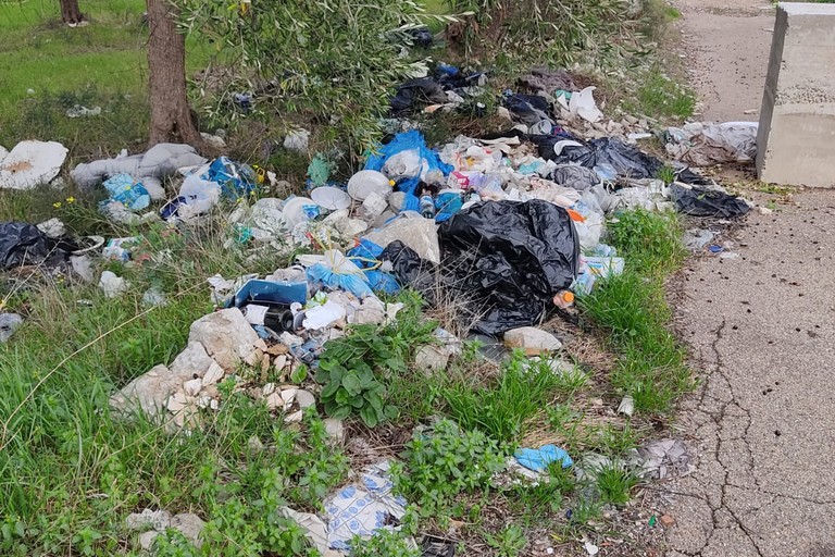 I rifiuti abbandonati nella lama Castello