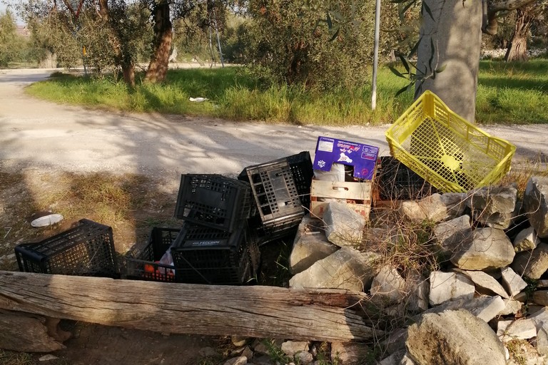 Cassette della frutta abbandonate