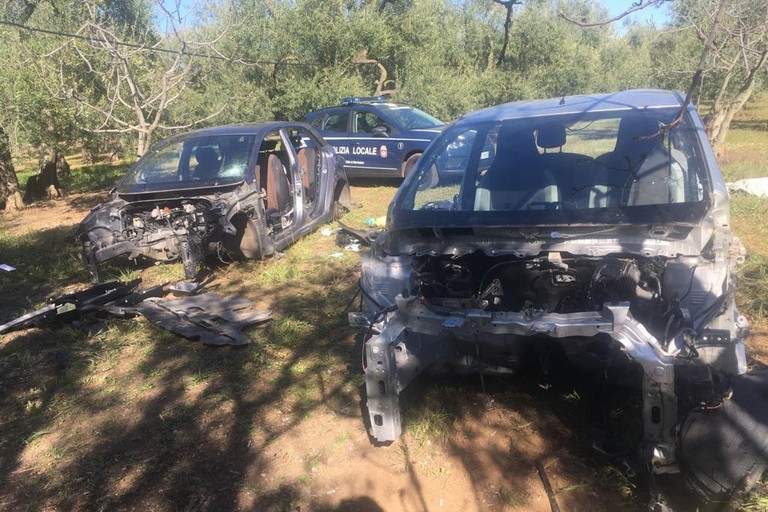 Le due carcasse recuperate dalla Polizia Locale