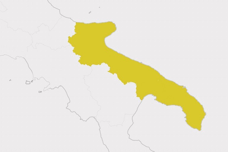 Zona gialla