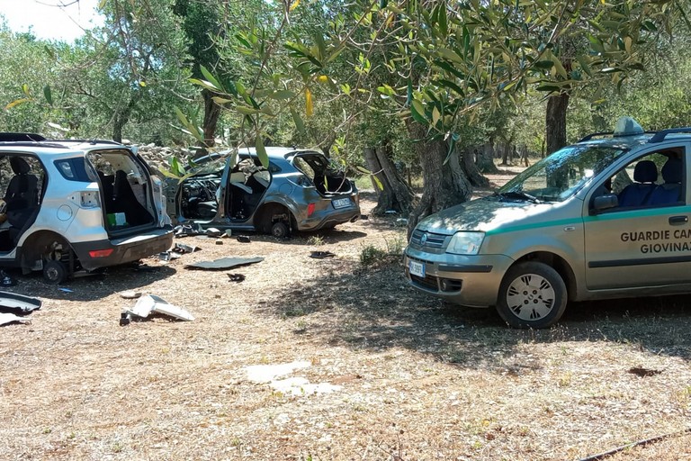 Le due scocche d'auto recuperate dalle Guardie Campestri