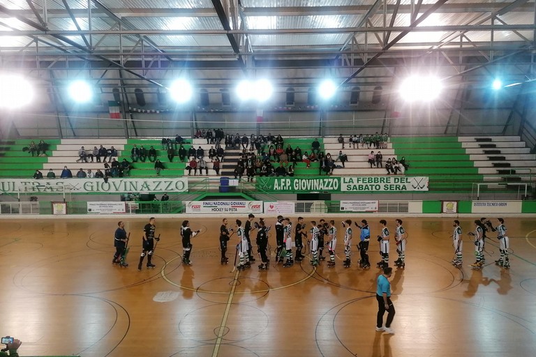 AFP GIovinazzo - Roller Matera. <span>Foto Giuseppe Dalbis</span>