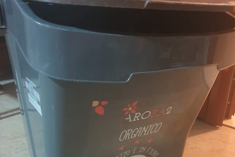 Mastello organico