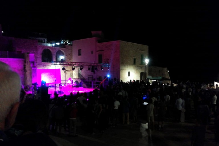 Giovinazzo Rock Festival. <span>Foto Giuseppe Palmiotto </span>