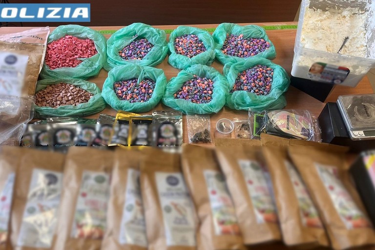 La droga sequestrata a Giovinazzo