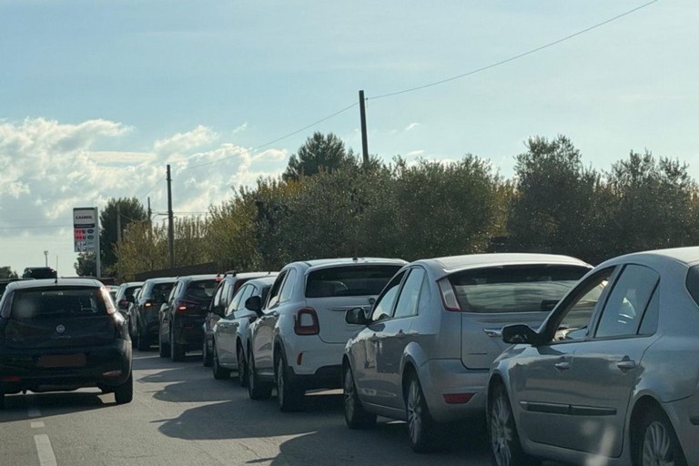 Code distributore carburante. <span>Foto Salvatore Farinato </span>