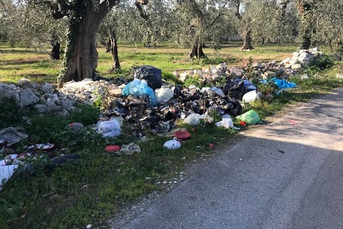 Rifiuti in località Casino della Principessa