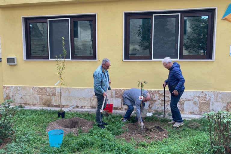 Festa dell'Albero 2023. <span>Foto Marzia Morva</span>