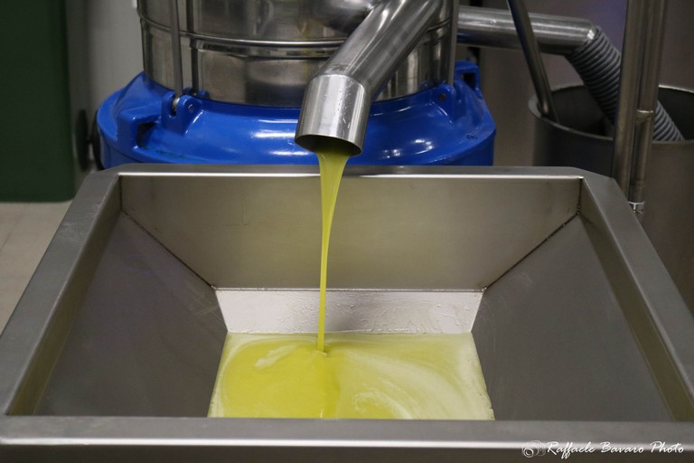 Olio EVO