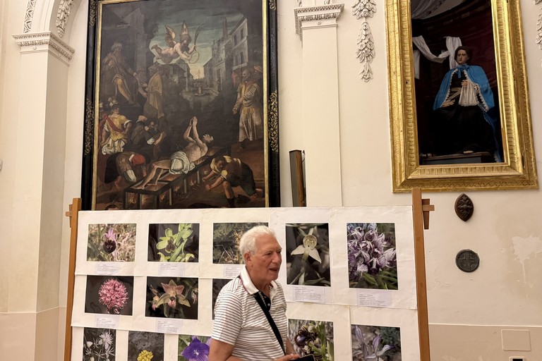 Giovanni Volpicella. <span>Foto Marzia Morva</span>