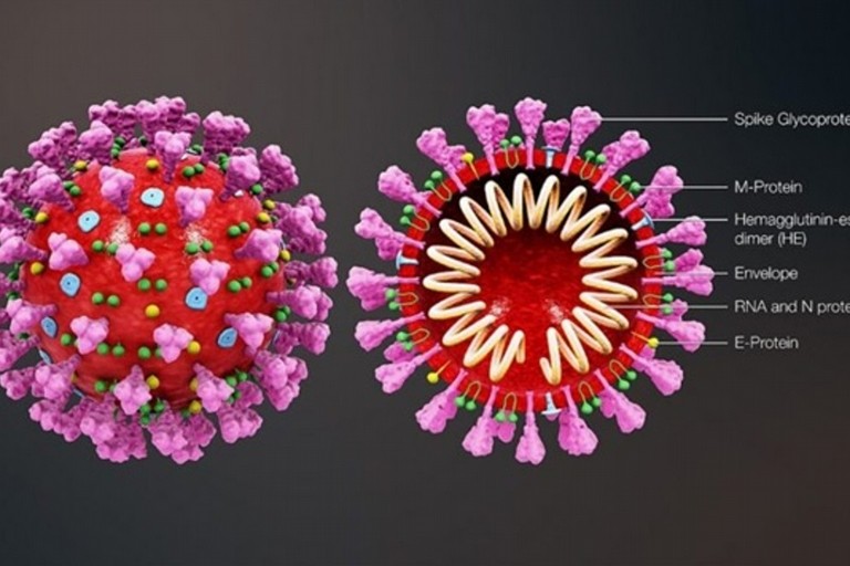 12 domande sui vaccini per il Covid-19