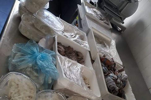 Pesce mal conservato, ancora sequestri della Guardia Costiera