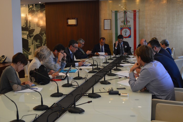 La IV Commissione riunita