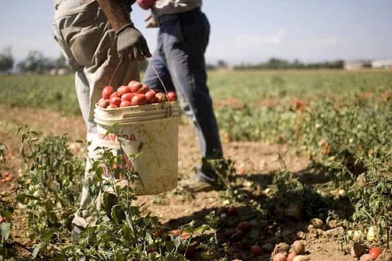 Lavoro nei campi