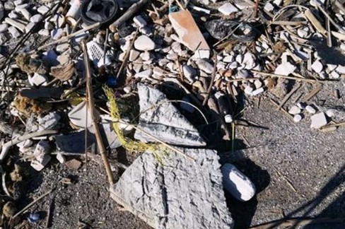Plastica in località San Matteo