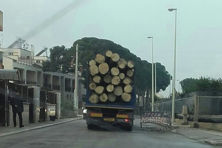 Traffico in zona Lugo Terminal