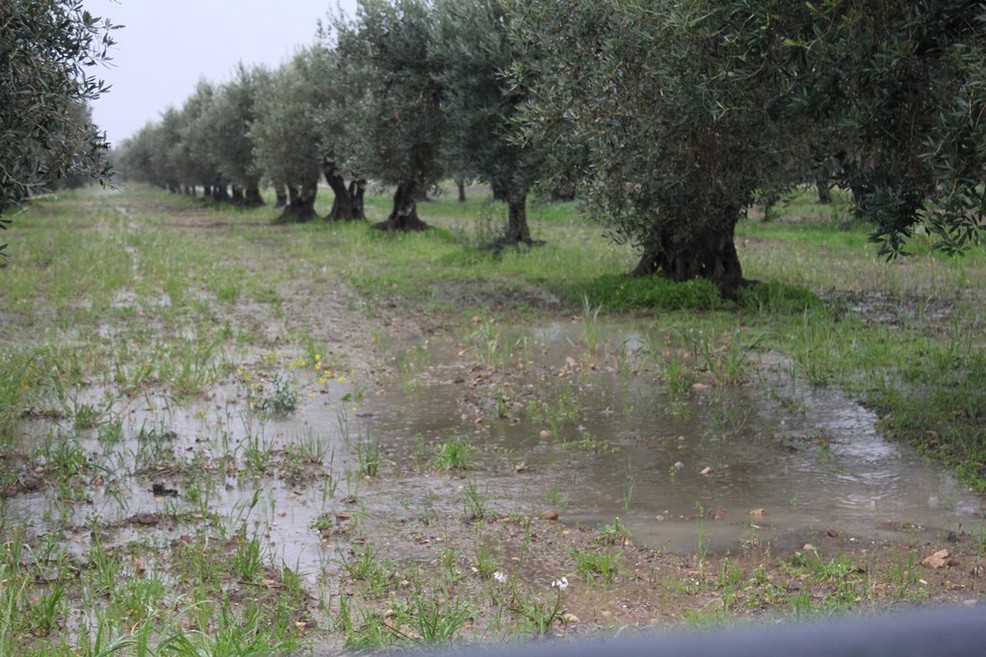 Maltempo in Puglia