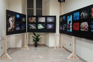 mostra fotografica