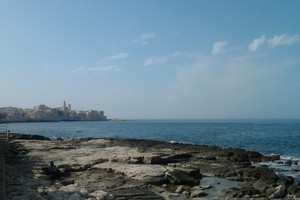 Giovinazzo da Levante. <span>Foto Gianluca Battista</span>