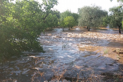 Allagamenti nelle campagne di Giovinazzo
