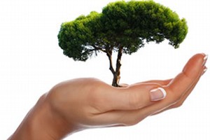 Albero della vita