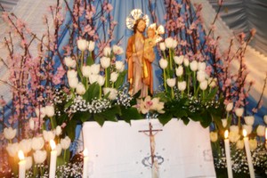 L'altarino della famiglia Ditillo - Amoia. <span>Foto Gianluca Battista</span>