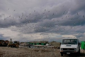 La discarica di Giovinazzo
