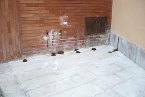 Escrementi umani in via Fossato