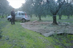 Guardie Campestri in azione