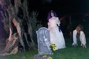 Halloween