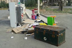 I rifiuti abbandonati nella zona artigianale D1.1