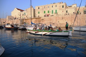 Domani ancora in acqua per il Trofeo dell'Adriatico. <span>Foto Gianluca Battista</span>