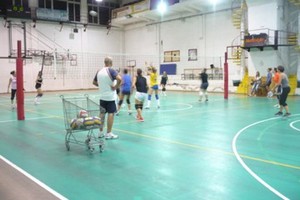 Volley femminile