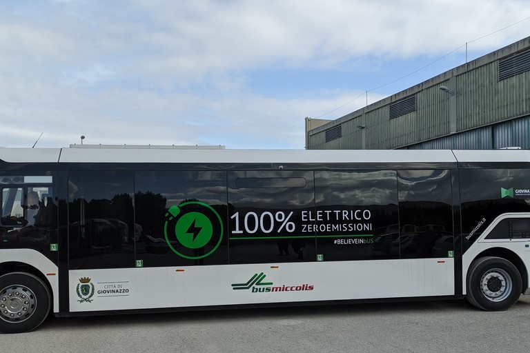Bus Miccolis
