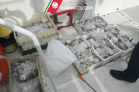 L'operazione