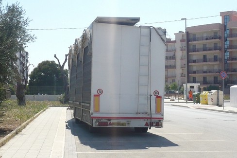 Il carrozzone in via Madre Teresa di Calcutta