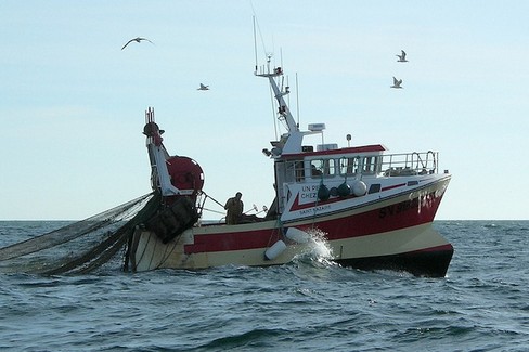 Pesca in mare