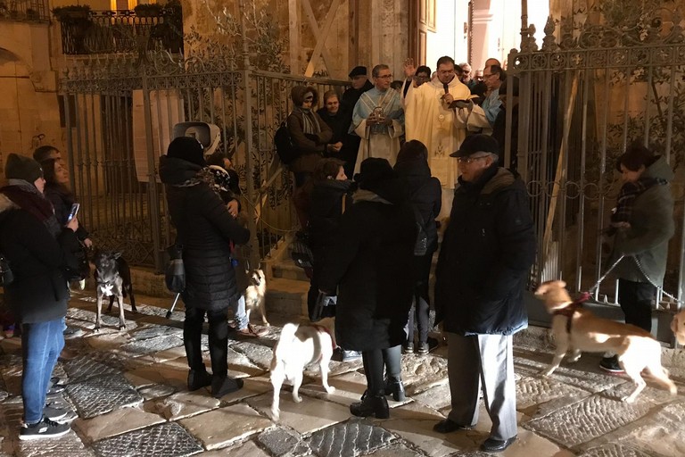 La benedizione degli animali. <span>Foto Marzia Morva</span>