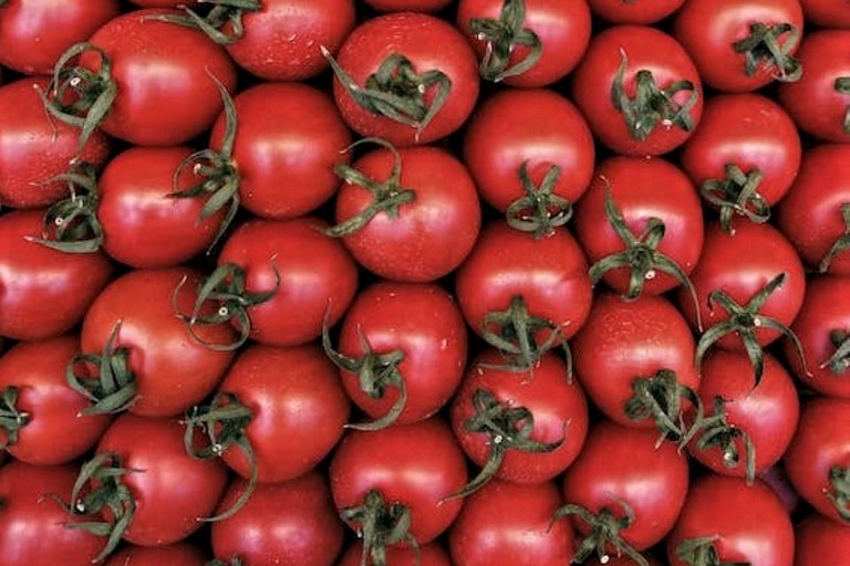 Pomodori