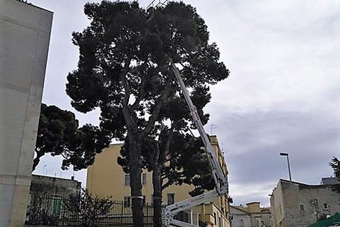 L'intervento alla San Tommaso