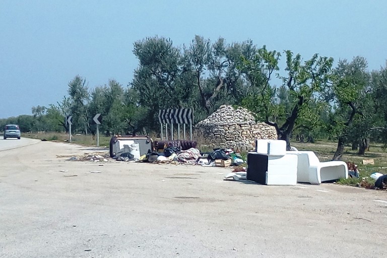 I rifiuti ingombranti abbandonati sulla provinciale. <span>Foto G.L. </span>