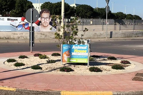 La rotatoria di via Molfetta